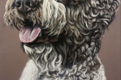 vesikoira-pastellikynat-piirros