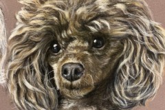 villakoira-piirros-pastellikynat