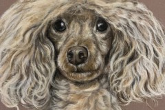 villakoira-piirros-pastellikynat2