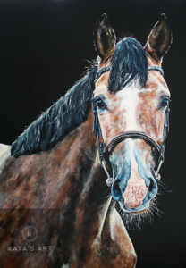 Horse art gallery