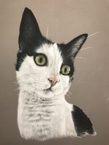 black and white cat drawing