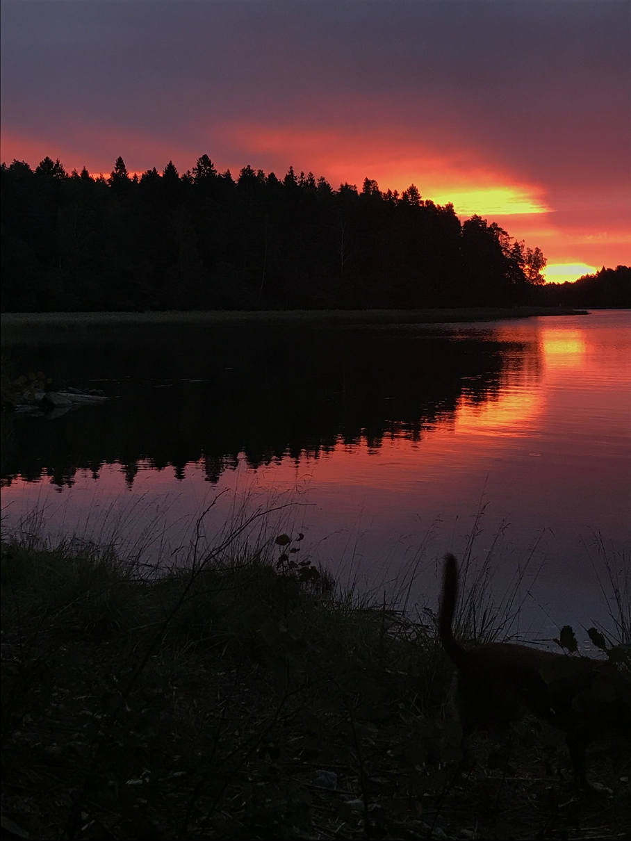 Aamun sarastus Itämerellä, Katan kotialbumi