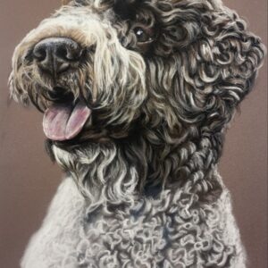 Pet art gallery