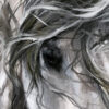"Valossa Vapaa" - Image 7